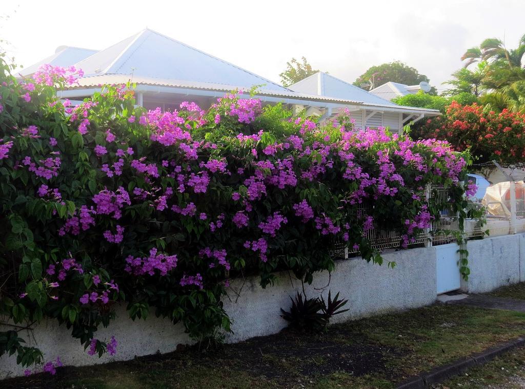 Bungalow Soleil Sainte-Anne  Buitenkant foto